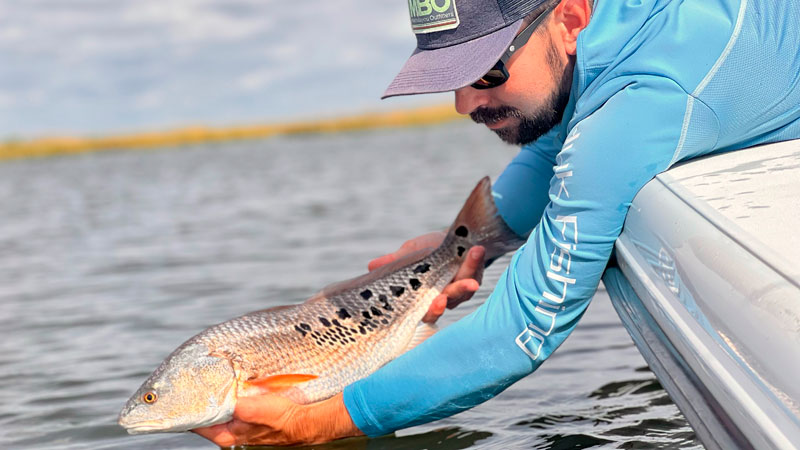 Lake Catherine redfish
