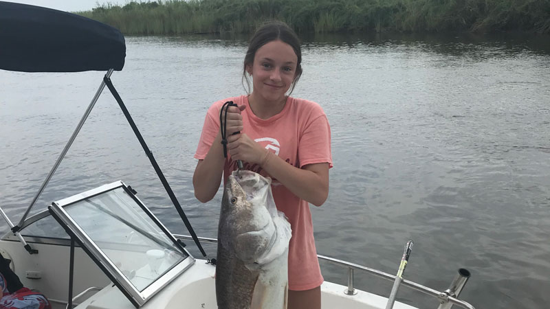Mimi's bull red