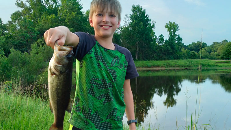 Beaux's farm pond bass