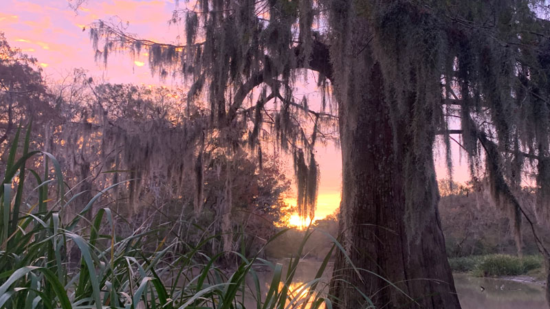 Duck hunting views