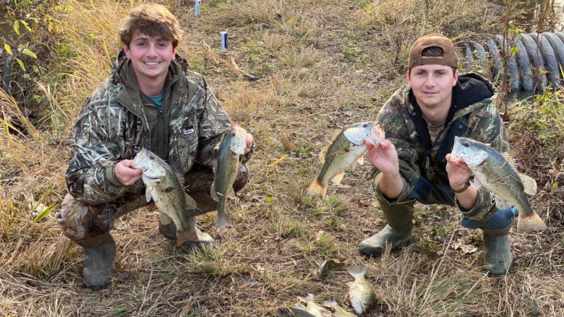 Marksville bass