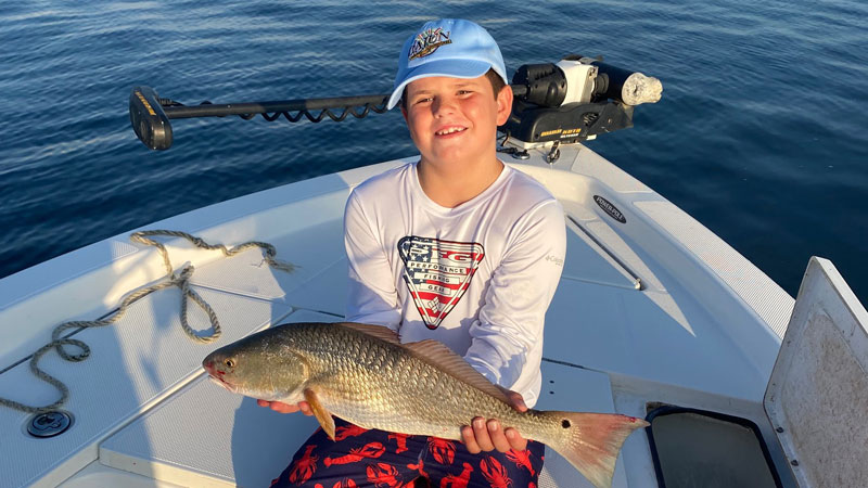 Elson's redfish