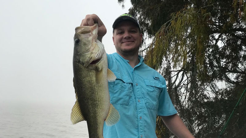 Foggy morning bass