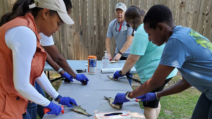Aquatic Volunteer Instructor teaches attendees how to clean fish. (Photo courtesy LDWF)