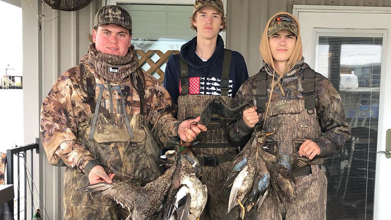 Duck limits in Venice