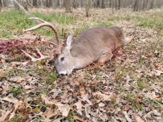 (Photo courtesy LDWF)