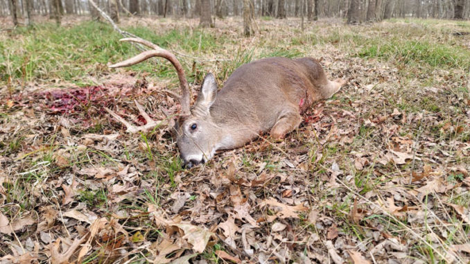 (Photo courtesy LDWF)