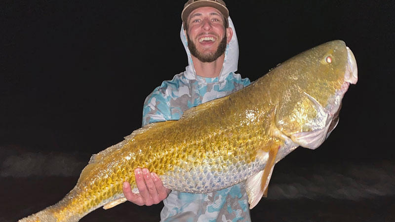 Rutherford Beach bull red