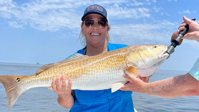 On May 7, 2022, Melissa Saucier from Texas landed this beauty out of Hopedale Marina. Waterloo rods don’t disappoint.