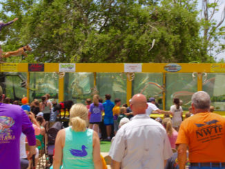 The Fetch-N-Fish dogs were a hit with young and old alike at the 2022 Louisiana Sportsman Show.