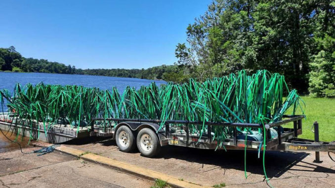 (Photo courtesy LDWF)