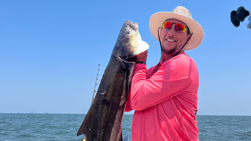 Billy Cancienne hauled in this big cobia about 30 miles south of Grand Isle on June 24.