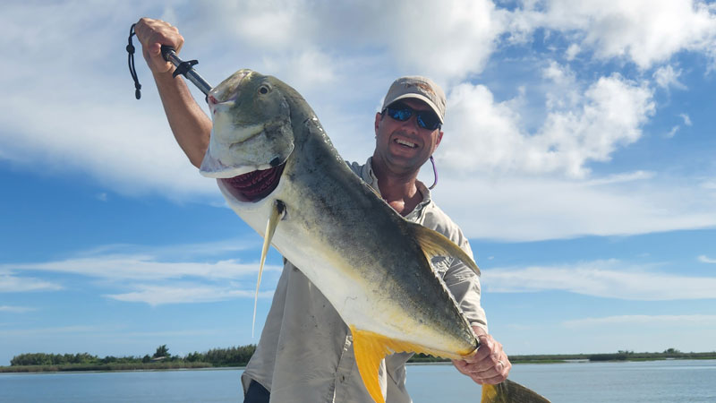 Pass a Loutre jack crevalle