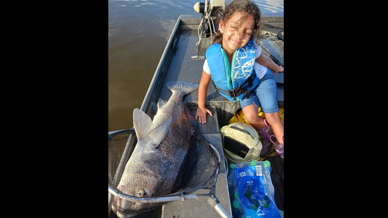 Five-year-old brings in bull drum