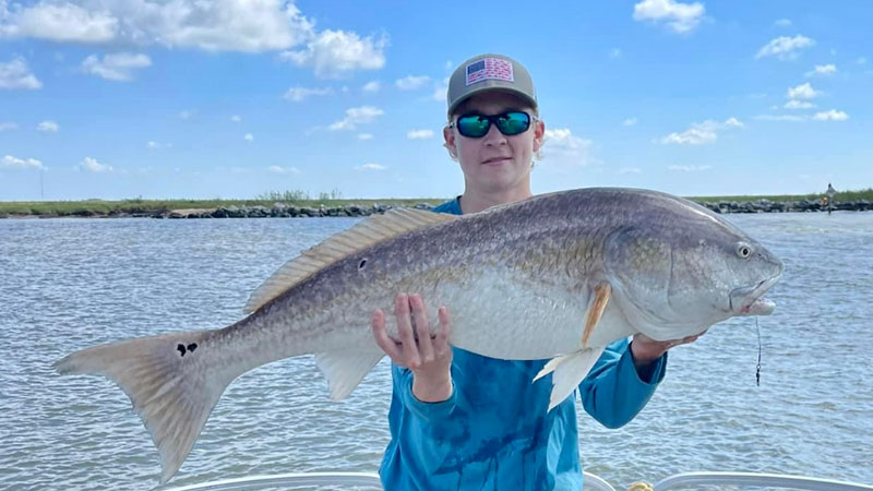 Joseph’s Harbor bull red