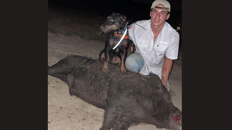 Dax with a big boar
