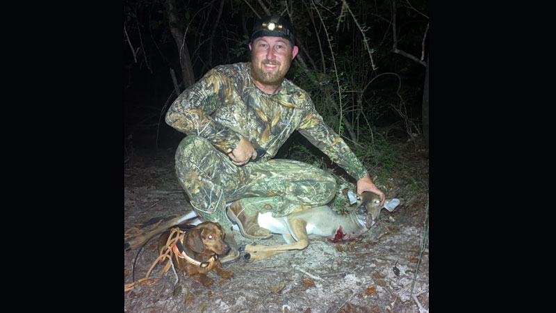Deer tracking dachshund