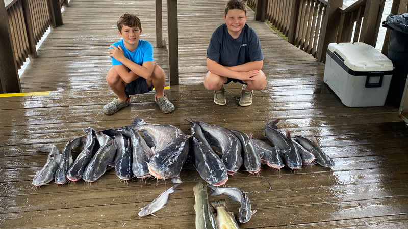 Big Toledo Bend cats