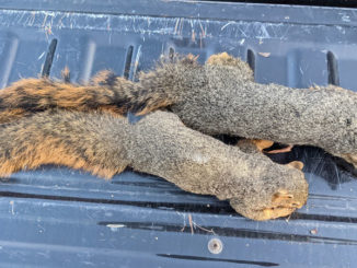 (Photo courtesy LDWF)