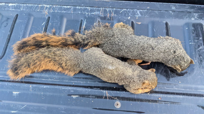 (Photo courtesy LDWF)