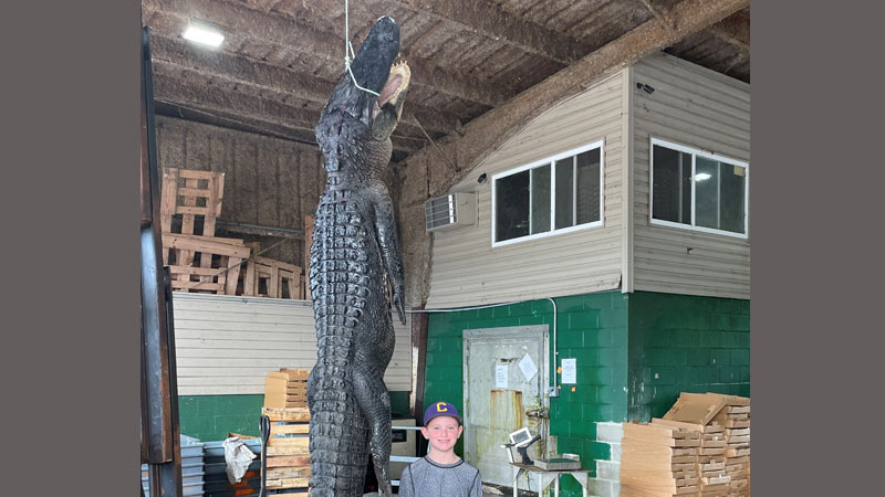 Drake and 10’3” gator