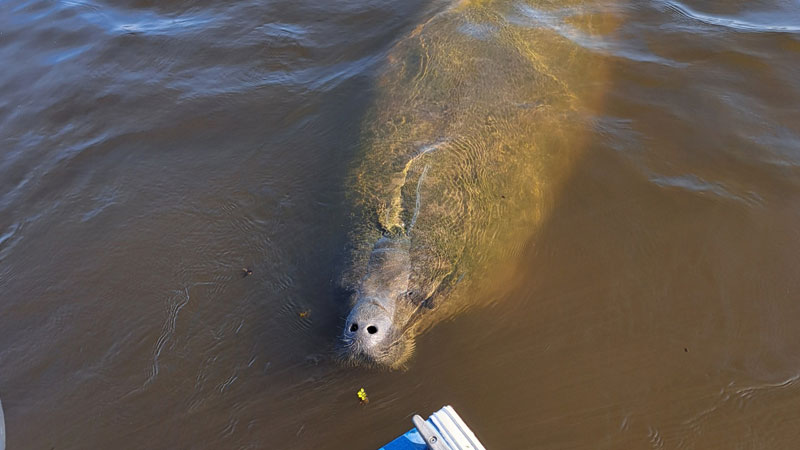 A unique visitor