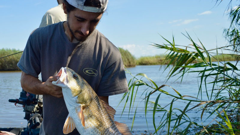 Logan Laborde with a redfish caught while fishing at Pecan Island on Oct. 22, 2022.