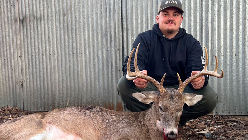 Brady's November bucks