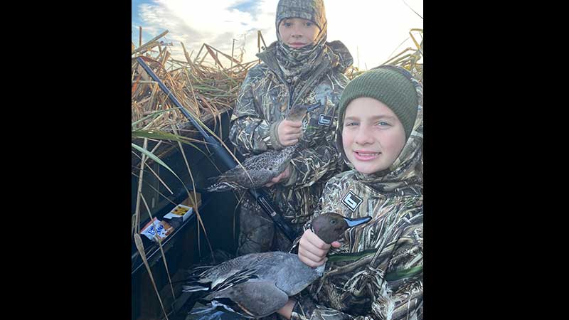 Nice pair of pintails