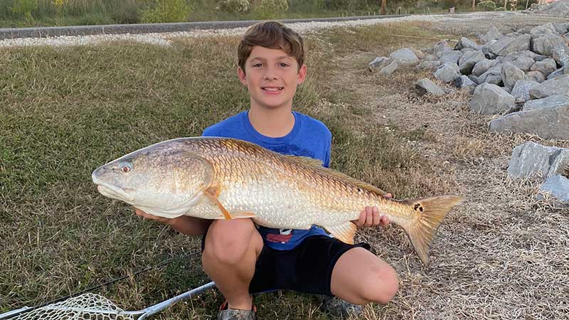 Colt Leger's big bull red