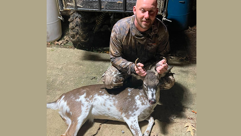 Drake's piebald deer