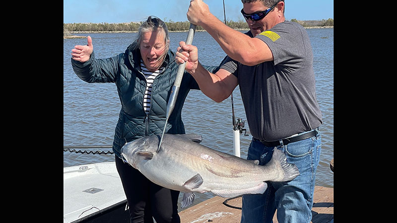 Lake Decade catfish