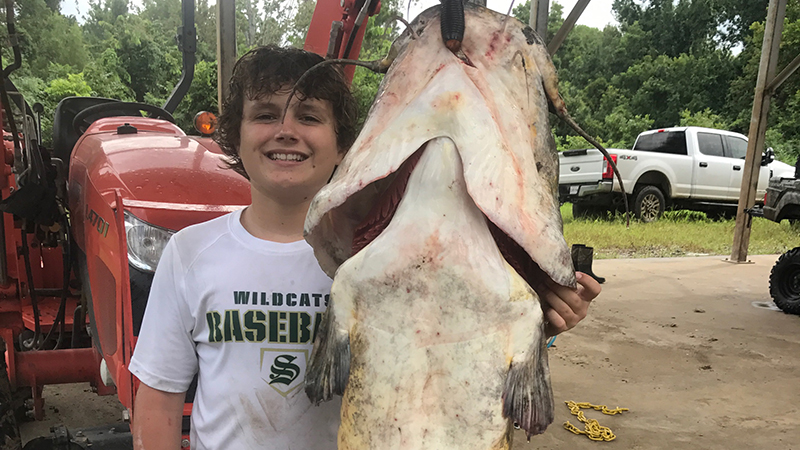 Thirston Easley hooked this big 70-pound flathead on Aug. 27, 2022 in a small pond which was flooded in 2021 when the Mississippi River was up on their hunting lease by Lake Mary in Mississippi.