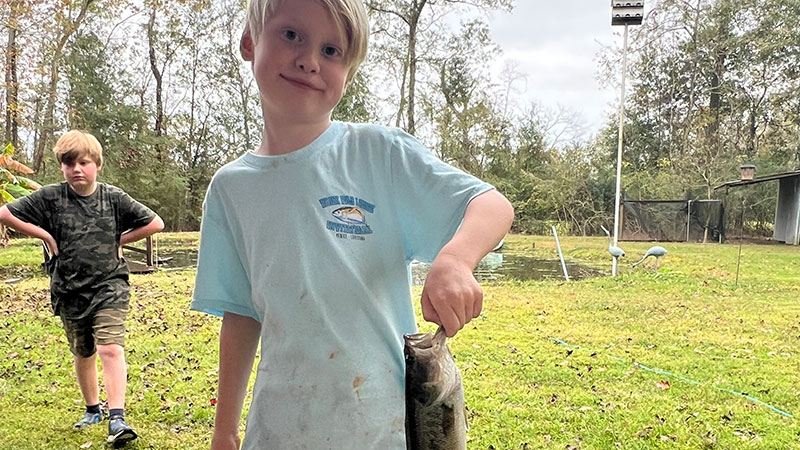 Henry Bolton's bass