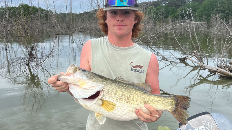 Bussey Brake bass for CJ Barrett