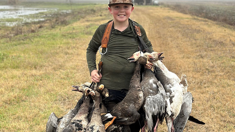 Grayson's Welsh hunt