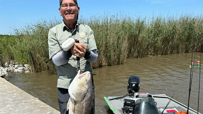 Jay Young's Rockefeller Refuge bull red