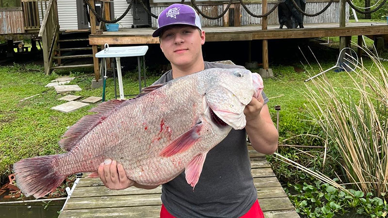 Kameron's big freshwater drum
