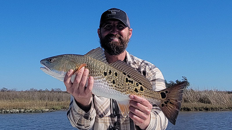 Derek Leach's leopard red