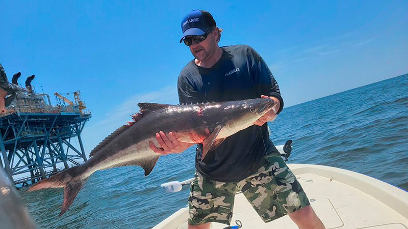William Ruffin Klein with a nice cobia caught out of Grand Isle.