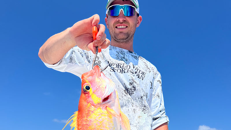 Venice longtail sea bass