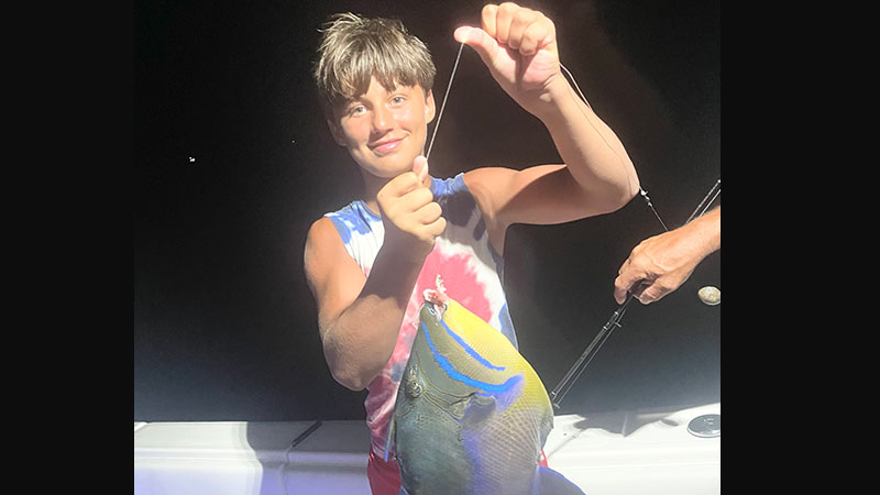 Sam's Queen Triggerfish