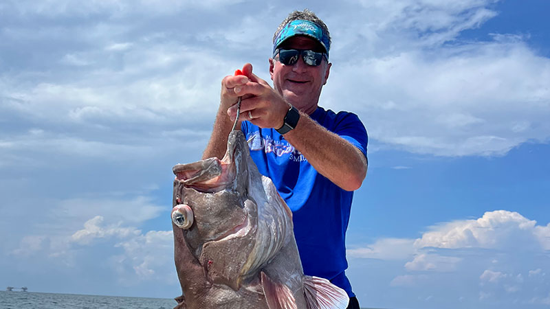 Venice Snowy Grouper