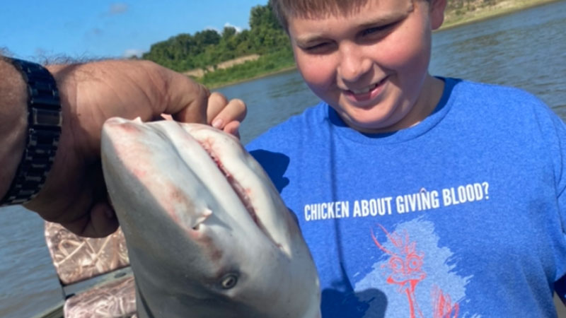 This shark was caught by Drew Moreau, 12, of Simmesport.