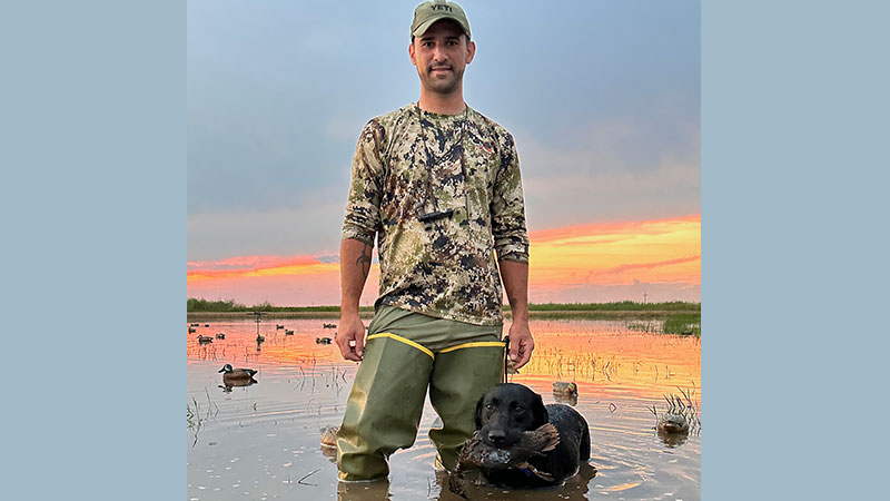 Dylan's banded blue-winged teal