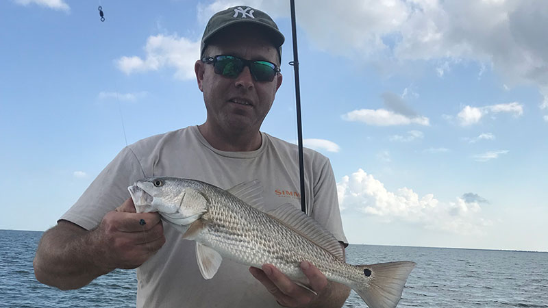 John White's Elmer's Island red