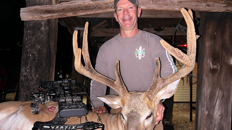 Velvet Mississippi buck