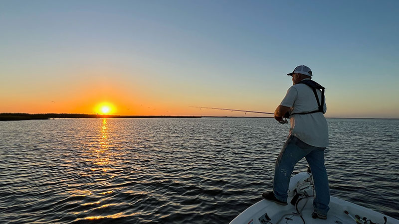 Catching the sunrise