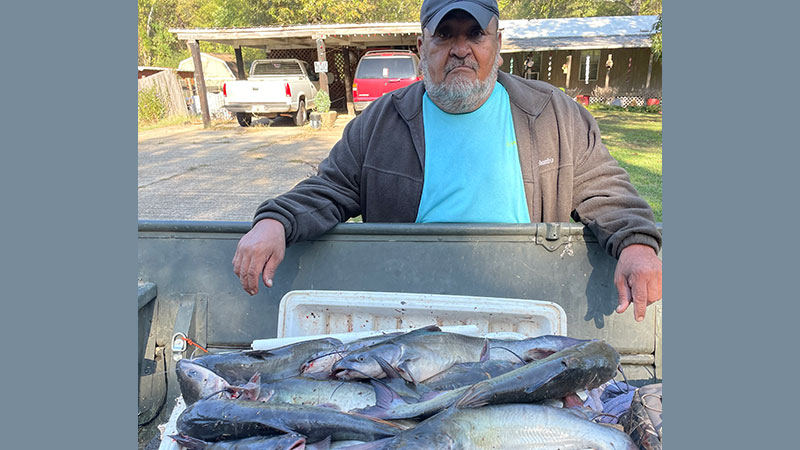 Catfish haul
