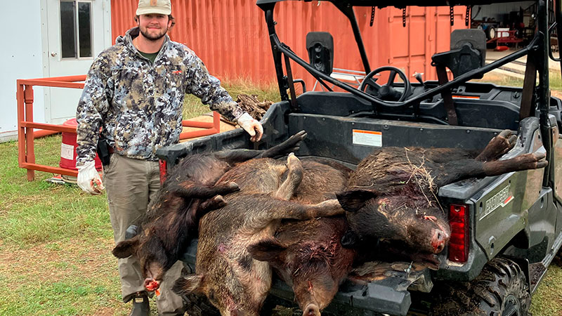 Nicholas Gautreaux's wild hogs